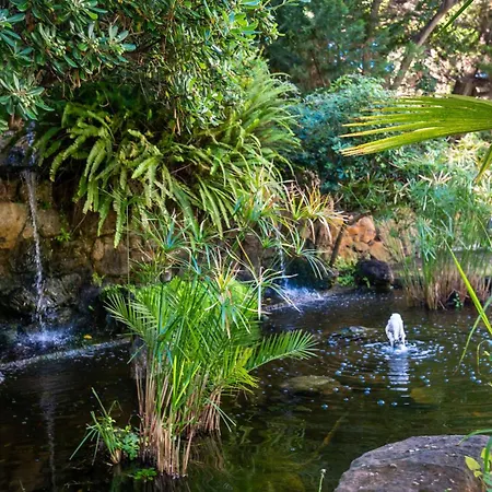 Penthouse Boutique Apartament