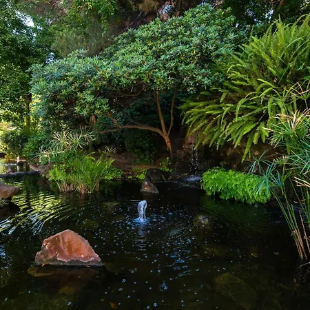 Penthouse Boutique *