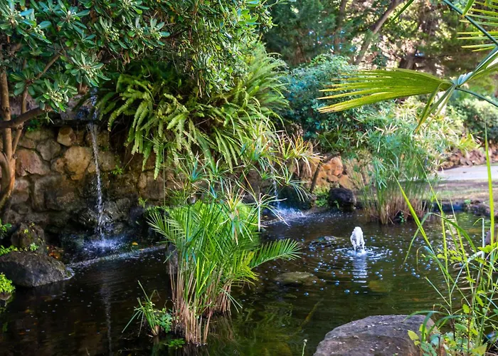 Penthouse Boutique アパート